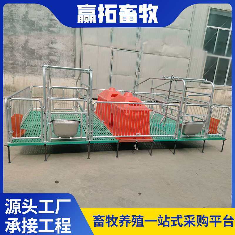 母猪产床畜牧养殖产保两用仔猪产床母猪分娩床小猪床复合双体产床