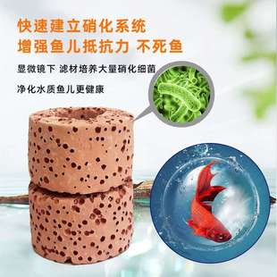 水草培菌环固定环447置沉底水定草环过滤环环鱼缸沉底环过滤环