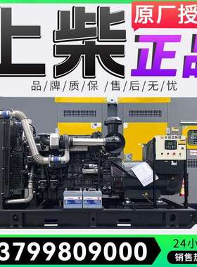 P1E上股柴份30/50/100/200/300/5000/50KW无刷600/800KW100千9瓦