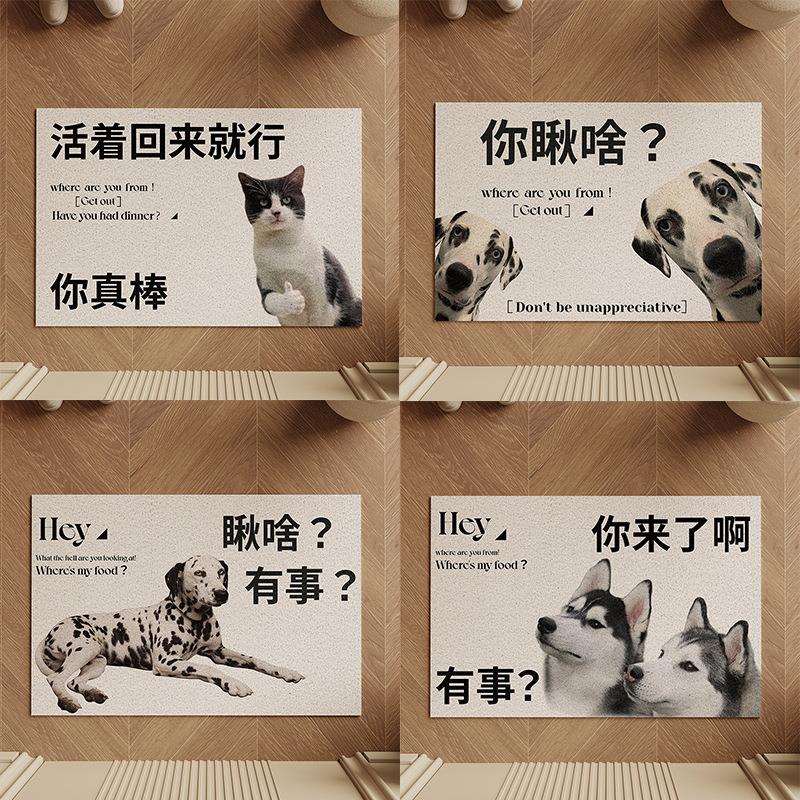 活着回来就行2地毯户门地AL100278垫进门玄关0口24新入款丝圈耐脏