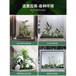 仿绿植造景室内景真观橱窗饰场景布置假植物楼梯下TB666815盆装景