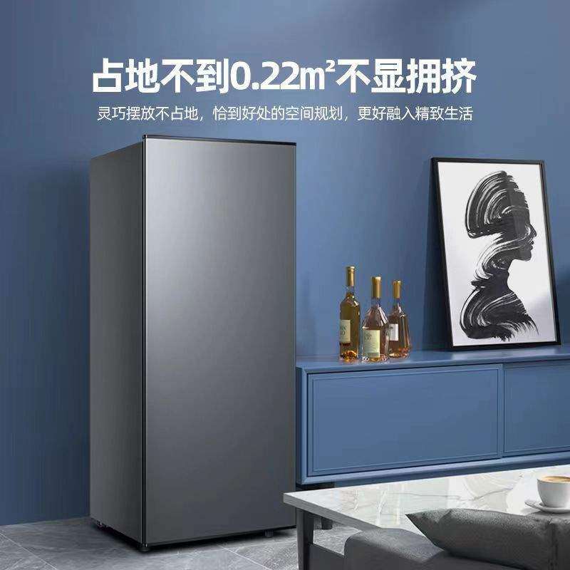 立式冰柜抽屉式家用七档控温全冷冻柜侧开门立体大冷柜小型冰箱