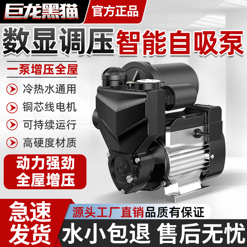 巨龙黑猫家用全自动自吸泵增压泵抽水机热水器洗澡自来水加压水泵