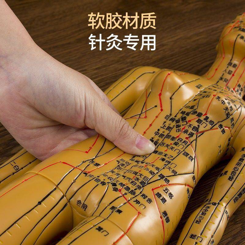 全身人体针灸模型模特图练习小皮人可扎针中医十二经络穴位小铜人