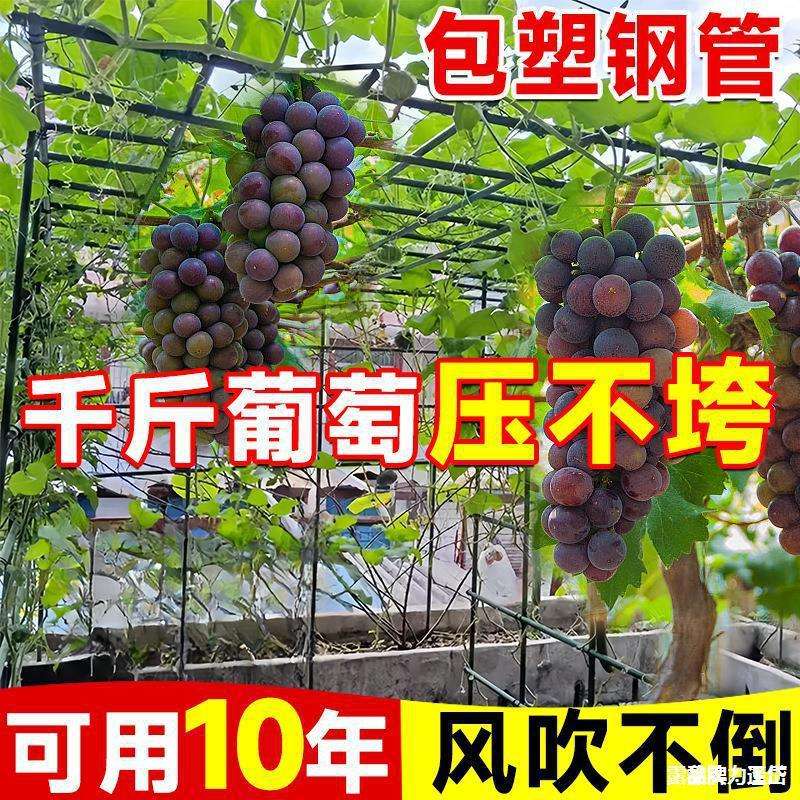 子牵引爬藤架丝瓜黄瓜葡萄架庭院爬藤架户外苦瓜瓜棚架百香果