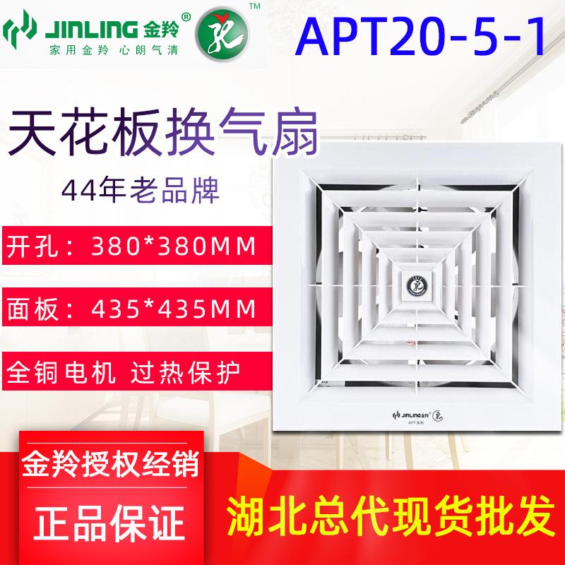 金羚排气扇换气扇吊顶天花板式直排换气扇厨房家用12寸APT25-5-1