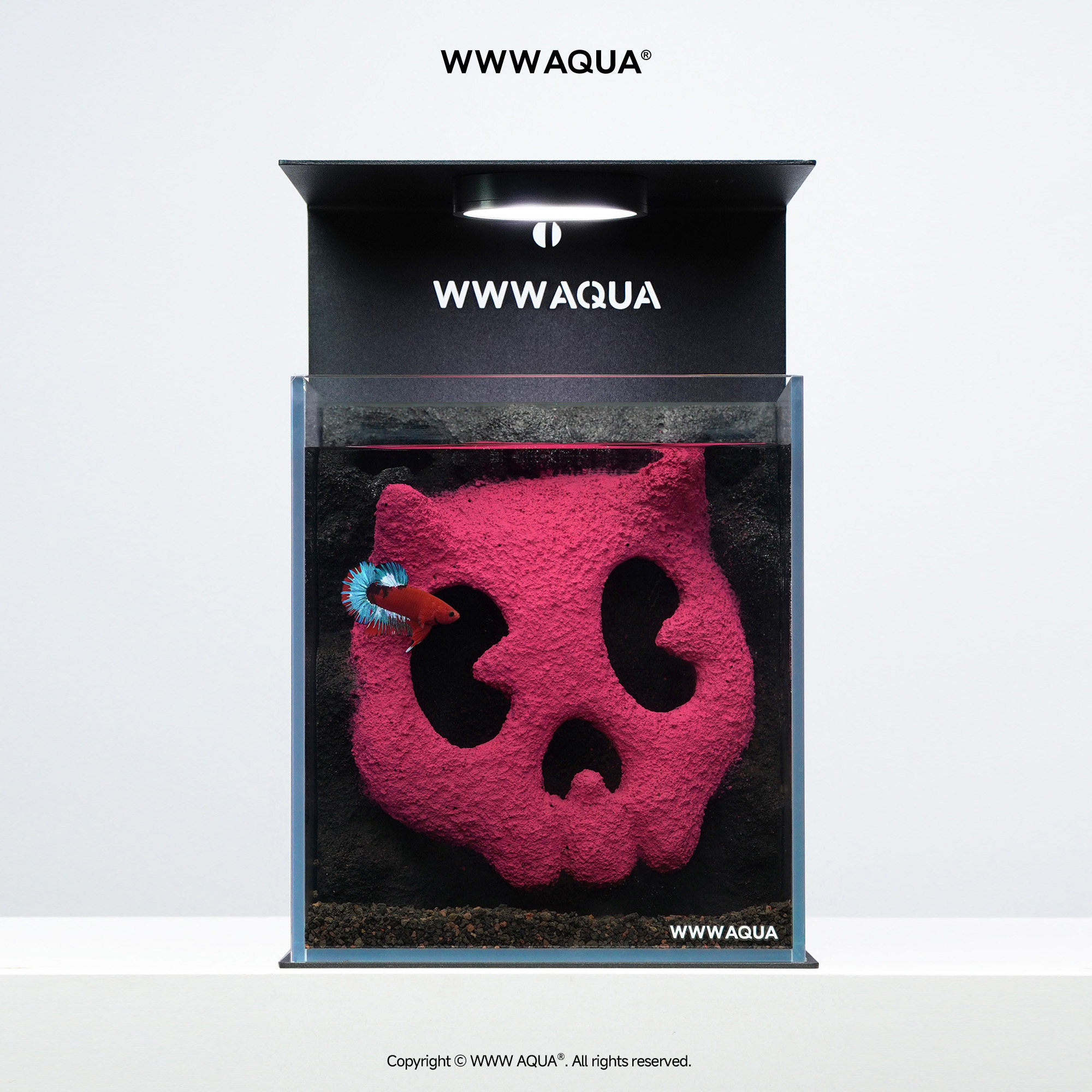 WWWAQUA鬼马系列BONBOBO潮品家居摆设微景观斗鱼专用造景玻璃鱼缸