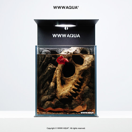 WWWAQUA古化石系列霸王龙微景观造景斗鱼超白玻璃家居桌面小鱼缸