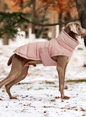 cloud7宠物衣服充棉狗狗衣服防寒保暖狗衣服冬加厚棉服狗宠物