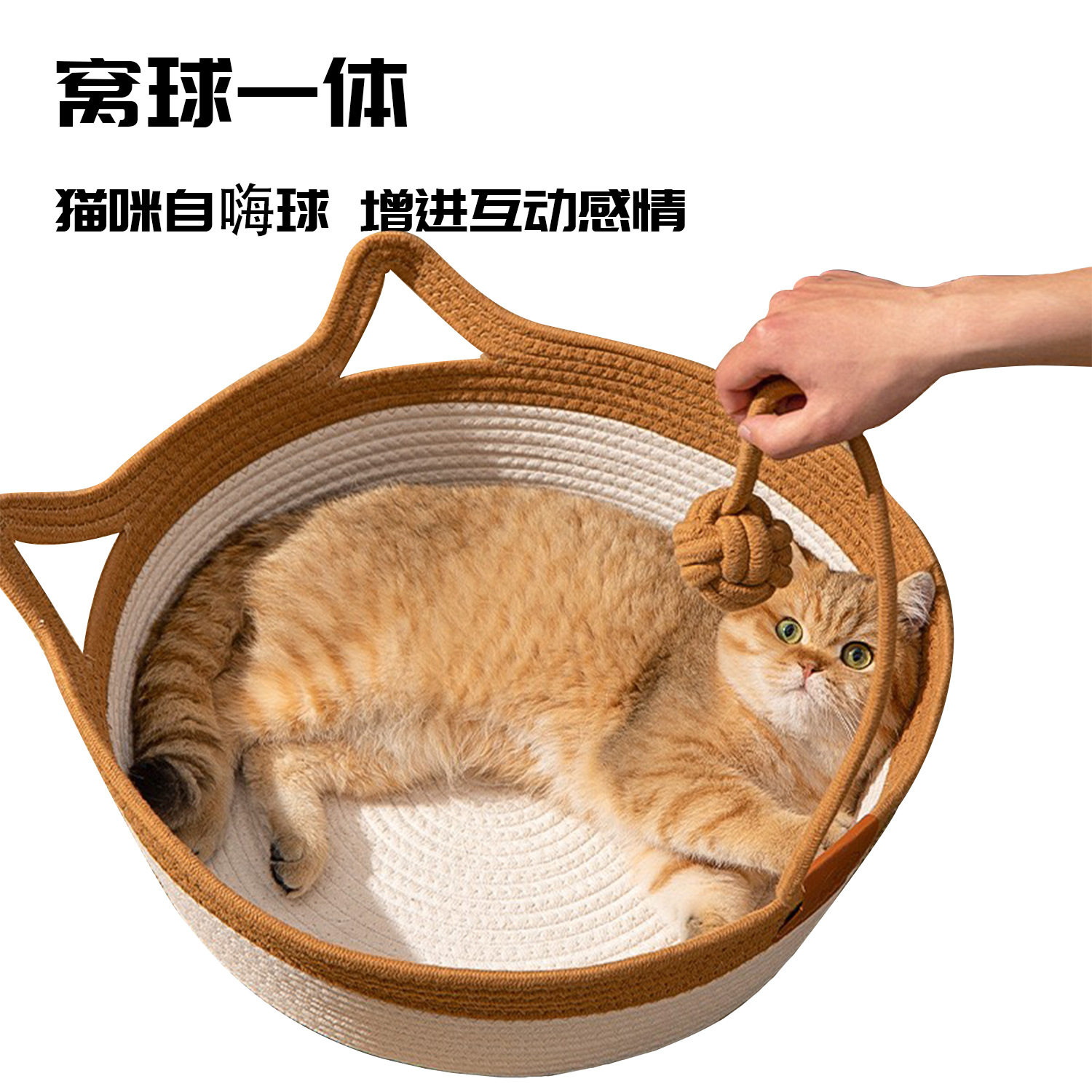 工厂猫咪宠物窝藤编猫窝编织逗猫球猫咪保暖棉垫狗窝四季通用,宠物/宠物食品及用品,猫笼子/猫别墅,淘宝优惠券,粉丝福利购,淘宝优惠卷