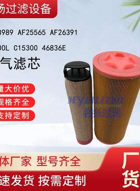 空气滤芯P778989 AF25565 AF26391 E1700L C15300 46836E空气滤芯