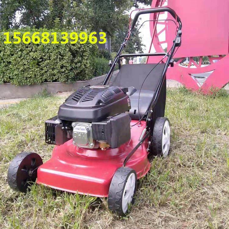 汽油7马力9马力草坪机 手推式大草袋割草剪草机 小区物业推草机,汽车零部件/养护/美容/维保,工程机械轮胎,淘宝优惠券,粉丝福利购,淘宝优惠卷