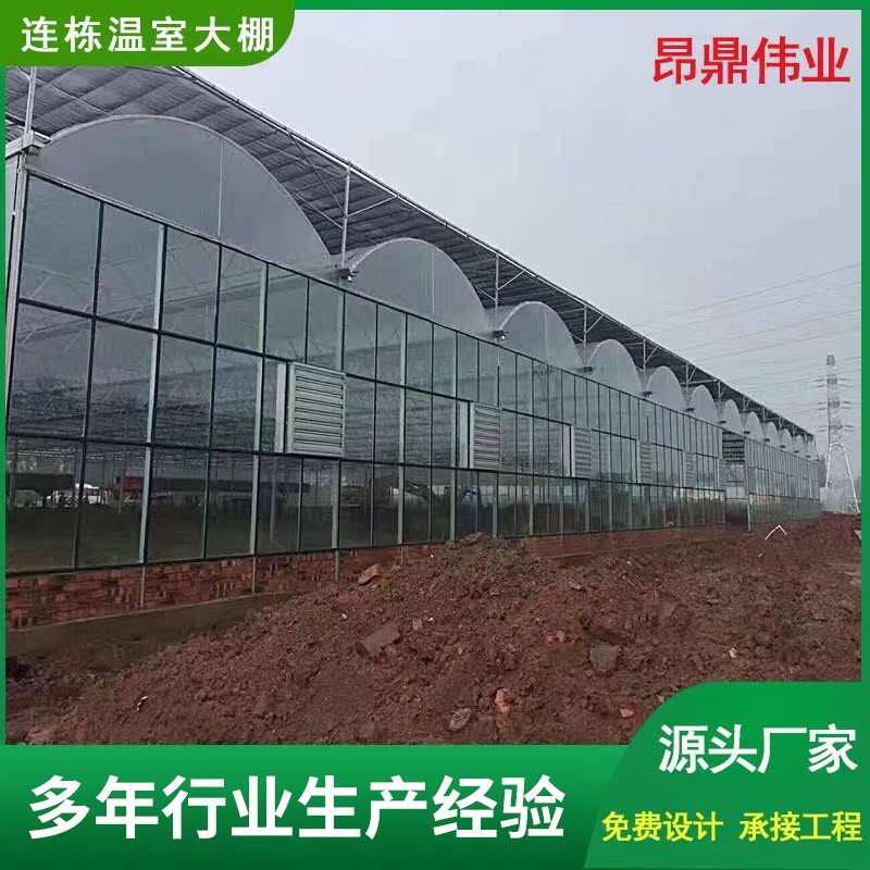 连体温室大棚农业花卉种植钢结构大棚骨架养鸡养鸭养猪保温大棚