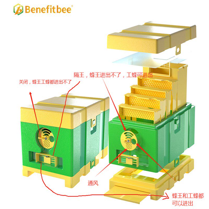 益蜂蜜蜂塑料育王蜂箱蜂王单层交尾箱小型蜂箱初学养蜂工具整套