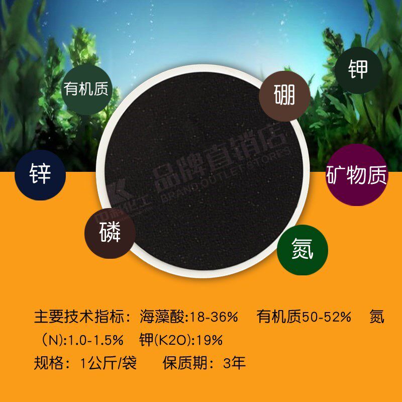 海藻精肥料原粉叶面肥营养肥水溶肥冲施促根壮苗果树草莓蔬菜营养