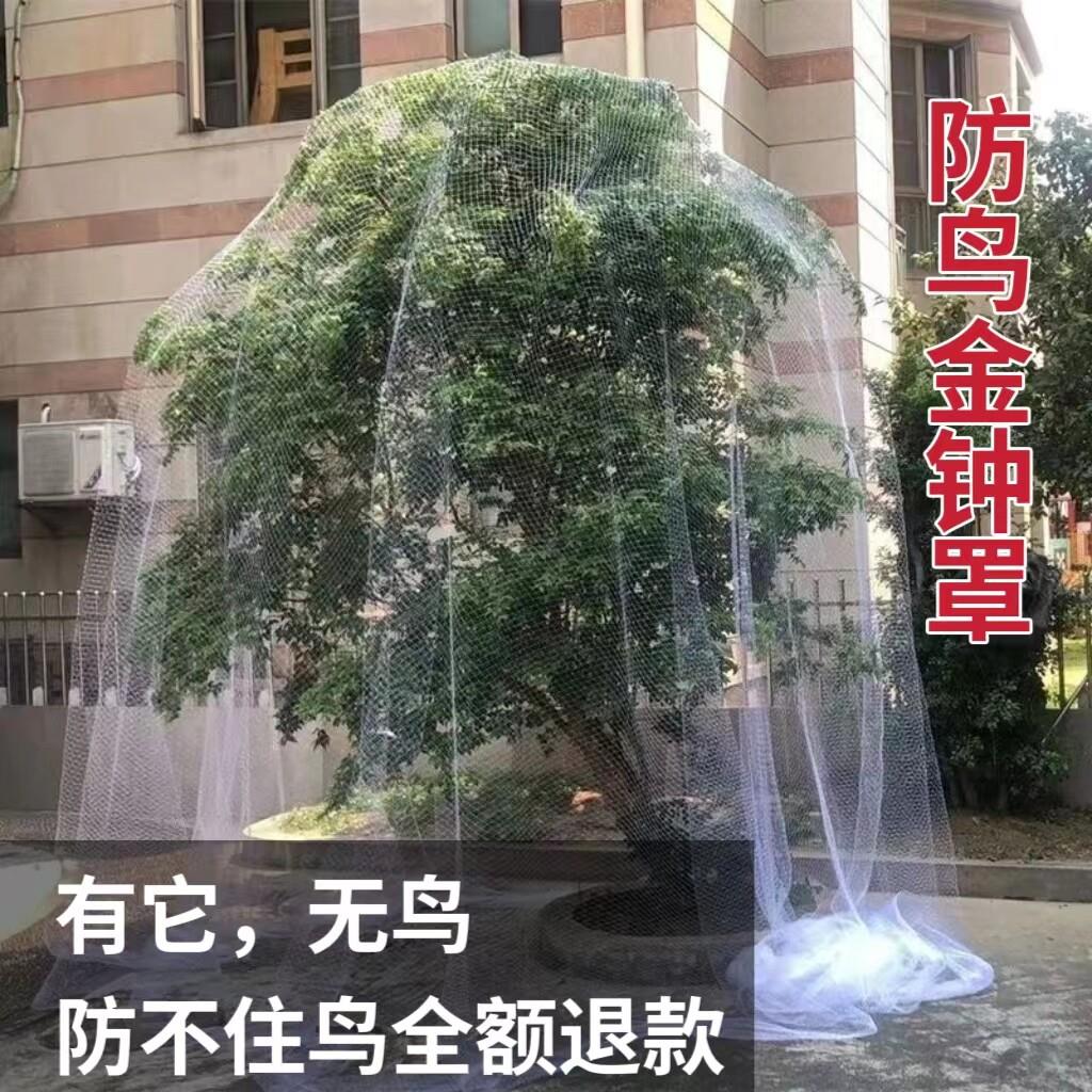 果园果树防鸟网嘉宝果网套袋网纱网袋家用天网防鸟用网尼龙樱桃网