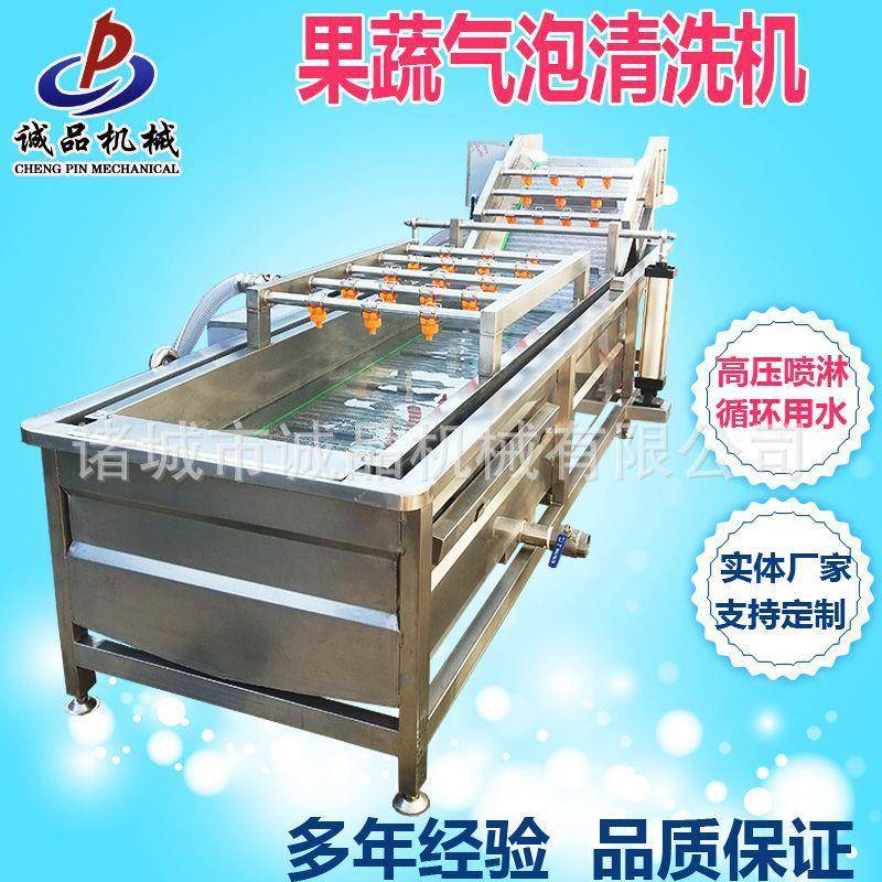 商用洗菜机全自动海鲜海参气泡清洗机果蔬清洗设备净菜加工流水线