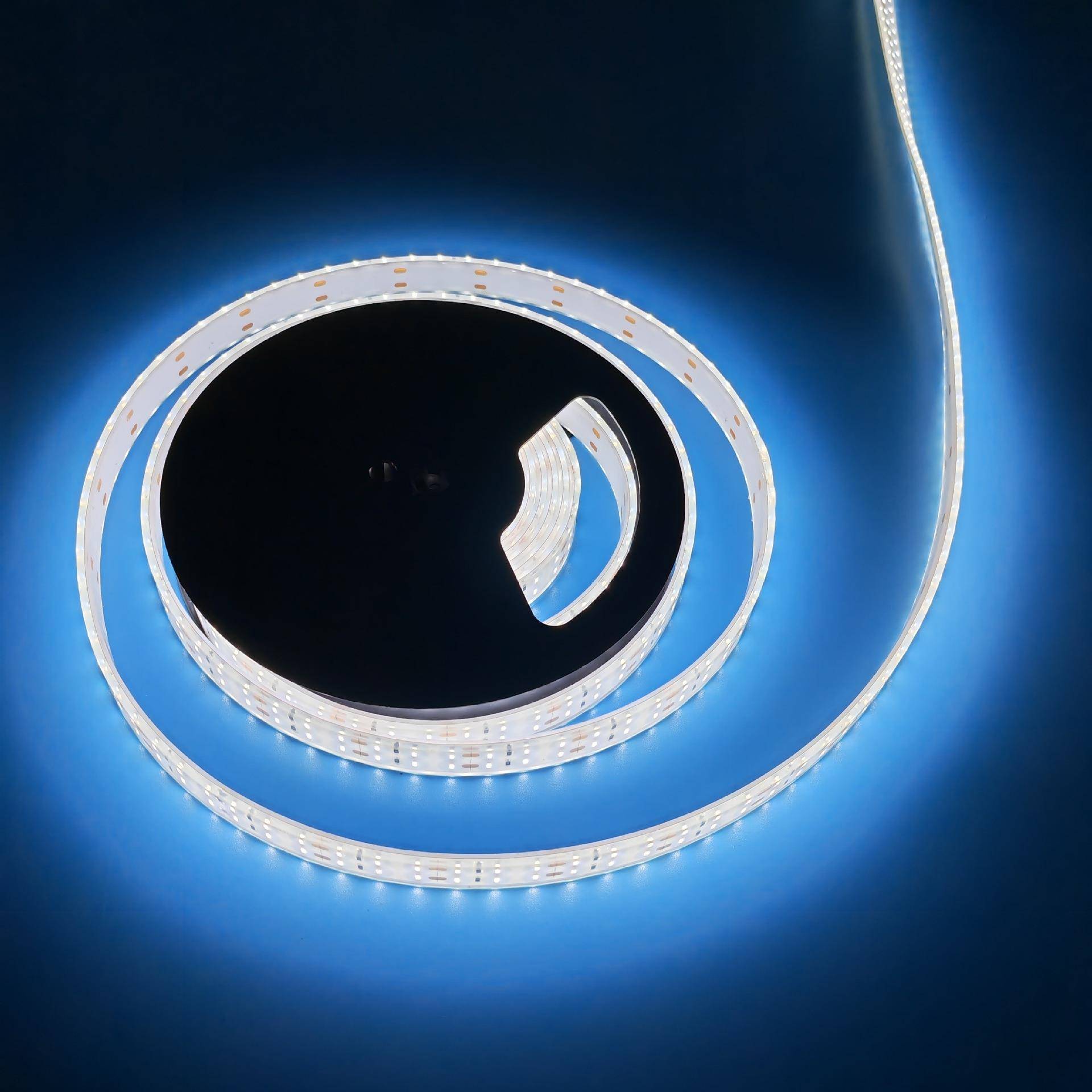 3014LED挤胶防水灯带180珠17MM宽双排DC24V车厢照明LED软灯条