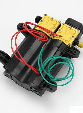12V 220V 7A 130PSI 10L/min自动/回流式高压农用电动水泵双芯泵