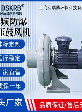 4KW铝壳防爆助燃耐温风机FX150吸水雾用中压鼓风机可定CT4