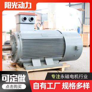 永磁发电机厂家 风力发电机水力手摇人力脚踏直流永磁发电机