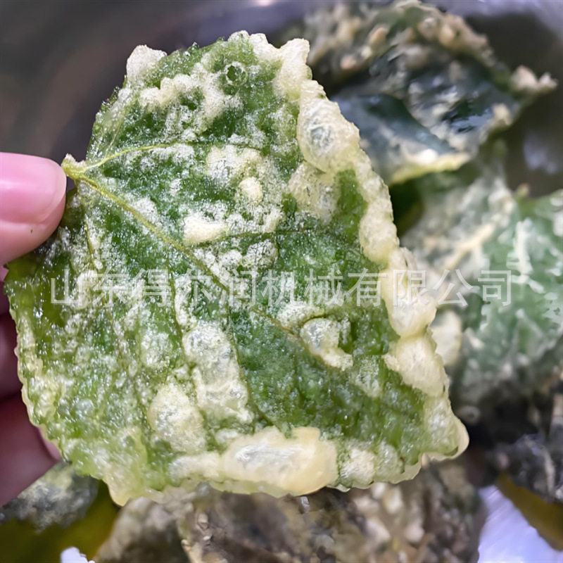 日式天妇罗桑叶上浆机 香酥翠叶上浆油炸生产线 淋浆机 现货供应