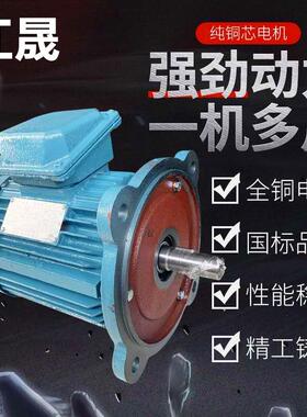 电机YE3/JS-100L-2 3W卧式立式三相异步交流380V50Hz2级江门