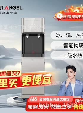 安吉尔商用直饮机AHR2904-2020K2Y反渗透2龙头20L冰水200G净水器