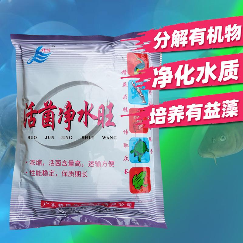 广州精博特效活菌净水王EM菌粉乳酸菌硝化菌乳酸菌反硝化菌放线菌