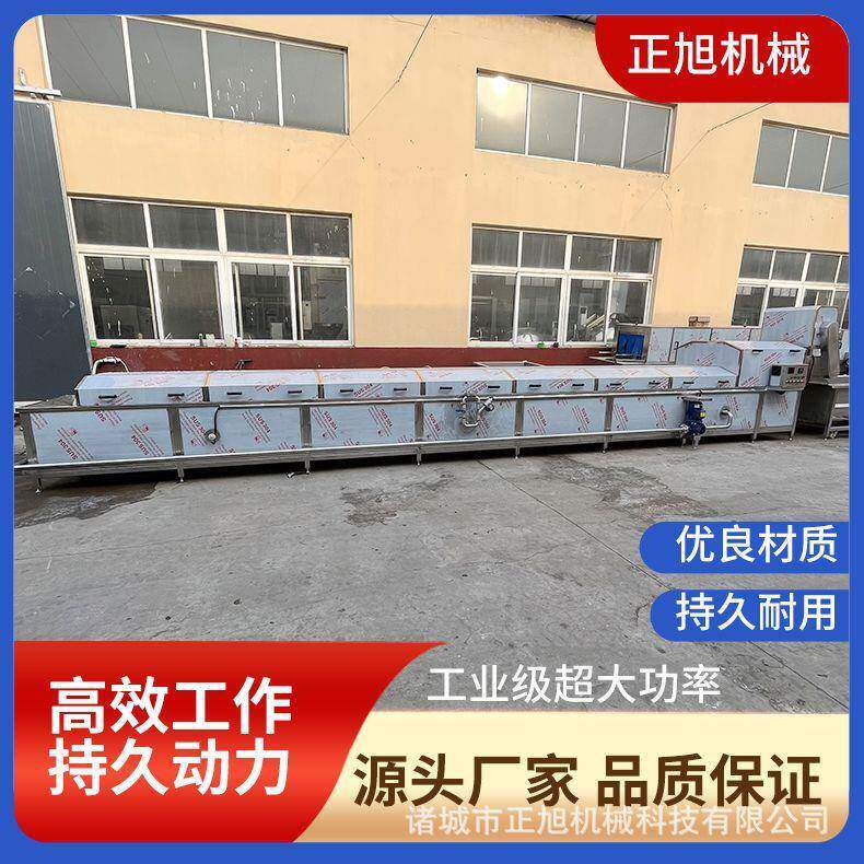 鲍鱼海参预煮机 带鱼蒸煮机 连续式海带漂烫机