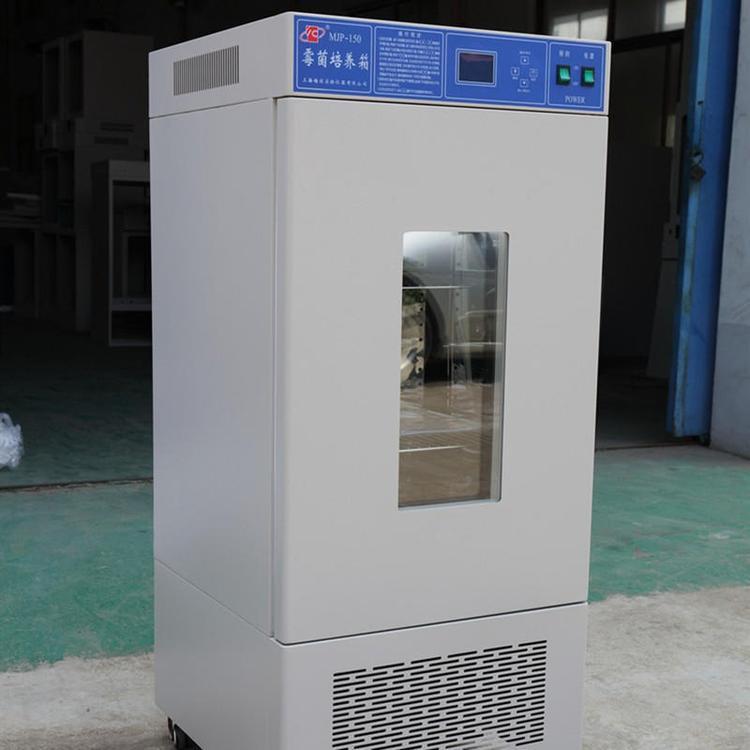 PZ-6B504LC真空干燥箱电箱热3鼓风 霉菌培养 箱