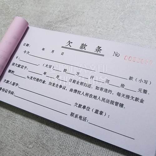 欠款条欠条账单记账本收款凭证票借条借款单借支收据借据二联单据