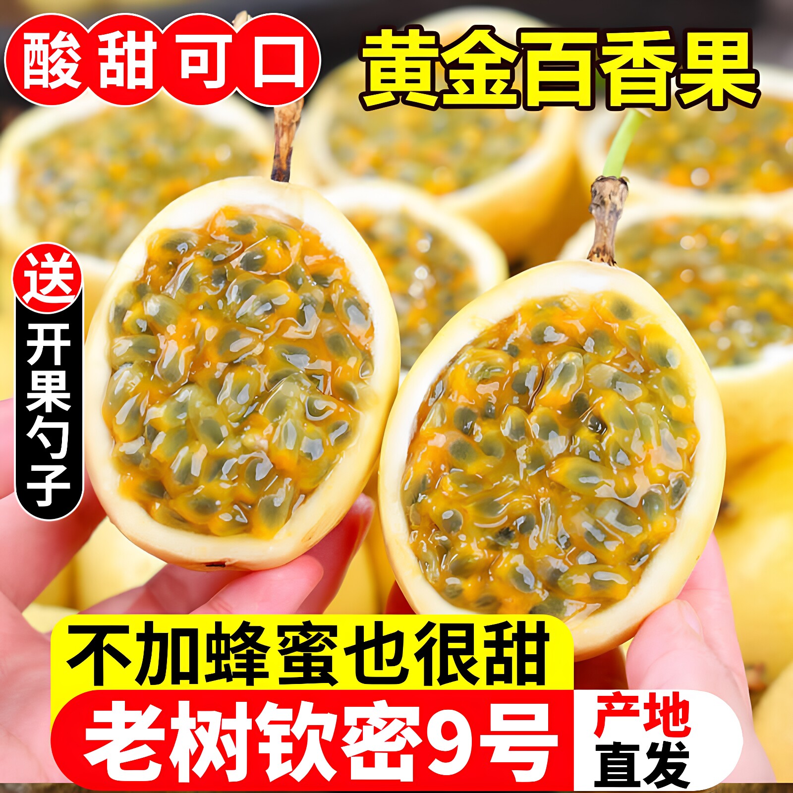 颜小荭广西钦蜜9号黄金百香果