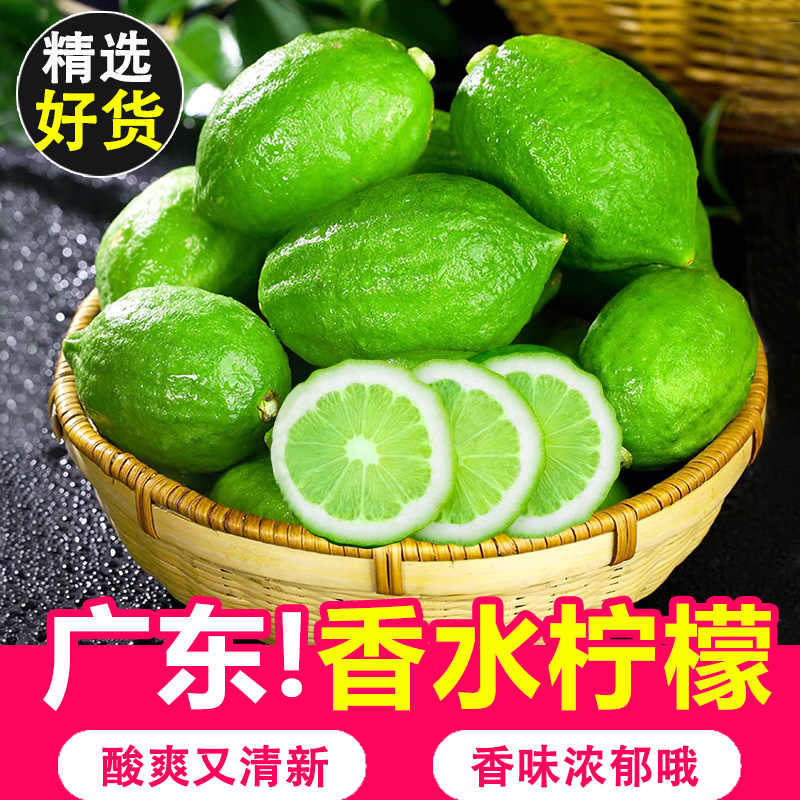 广东香水柠檬新鲜正宗无籽青柠檬大果一级果奶茶店专用独立包装