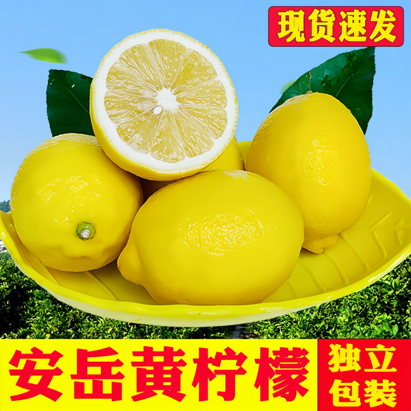颜小荭四川安岳黄柠檬