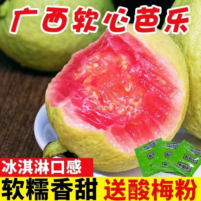 颜小荭广西软糯红心芭乐新鲜水果