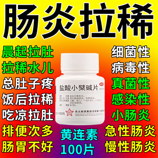 肠炎特急性慢性效肠胃炎的药肠炎肠鸣成人拉肚子吃什么药止泻药