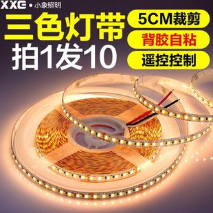 饰双色调光软灯条超亮霓虹灯线 低压24V灯带led三色变色家用柜台装