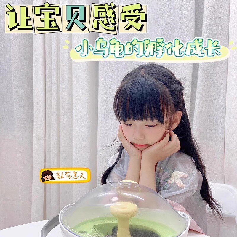 乌龟蛋可孵化成长仓活物爬台晒台专用乌龟缸宠物饲养箱小龟别墅盒