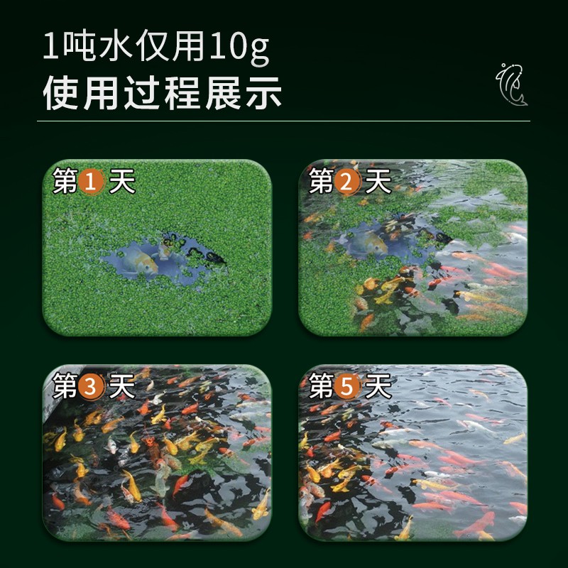 鱼池除藻剂青苔清除剂鱼缸锦鲤鱼塘除藻去苔剂除绿水蓝褐丝藻黑藻