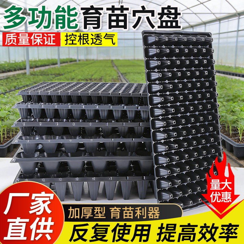 育苗盘穴盘育苗盒营养钵蔬菜育苗盆塑料杯育苗器苗木多肉托盘盆