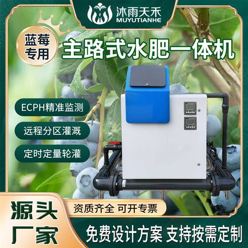主路式水肥一体机蓝莓草莓专用滴喷灌精准施肥调酸机ECPH远程控制