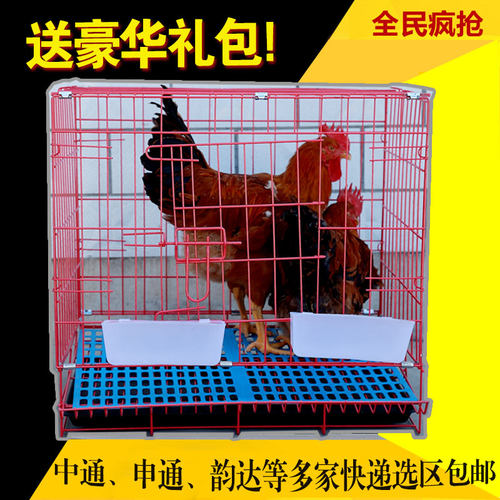 滚蛋鸡笼家用大号加粗家禽运输笼兔笼猫笼狗笼折叠鸡笼鸡舍养殖笼