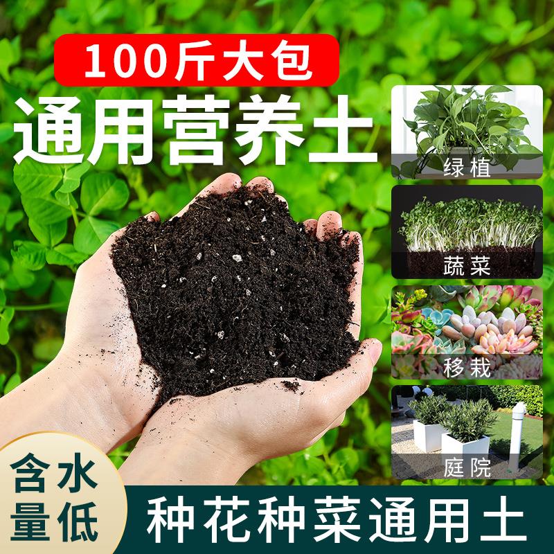 花土营养土养花种菜肥料多肉有机专用泥土种植盆栽土壤通用型家用