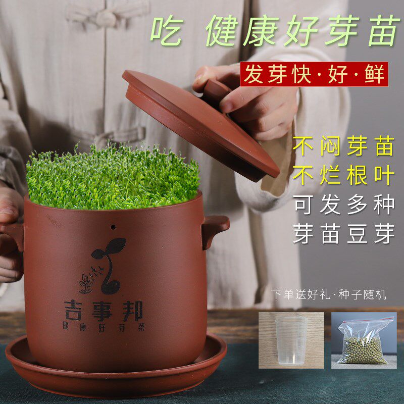 宜兴紫砂豆芽罐绿豆黄豆种植盆家用自动发豆芽机大中小号苗芽菜机