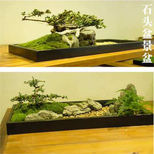乌金石盆假山吸水石石头花盆创意微景观天然石头盆景山水盆包邮