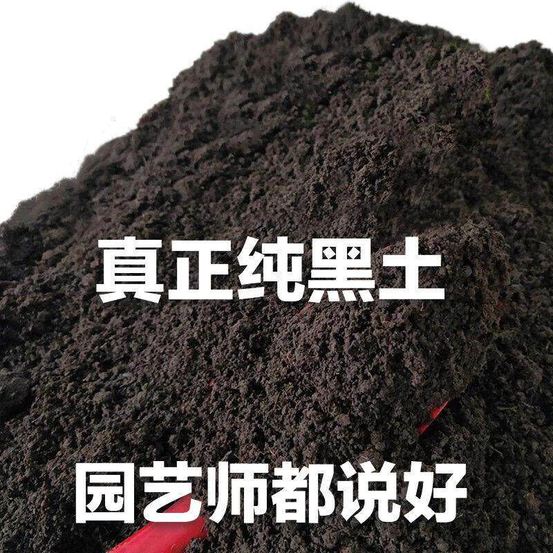 营养土养花通用专用营养土阳台种菜土黑土花土营养土通用型100斤
