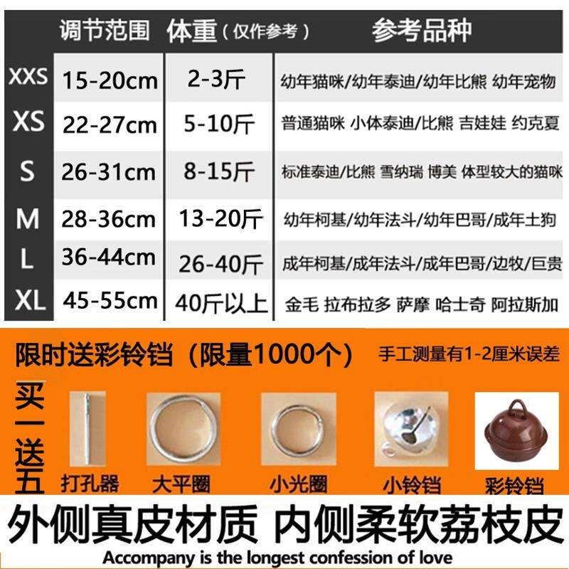 牛皮刻字猫牌项圈定做防丢身份牌金毛泰迪可爱宠物调节颈脖套铃铛
