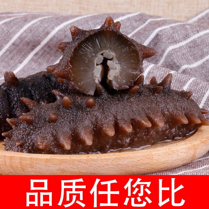老渔民即食海参大连海生单个装深海捕捞刺参鲜活特价装非干货