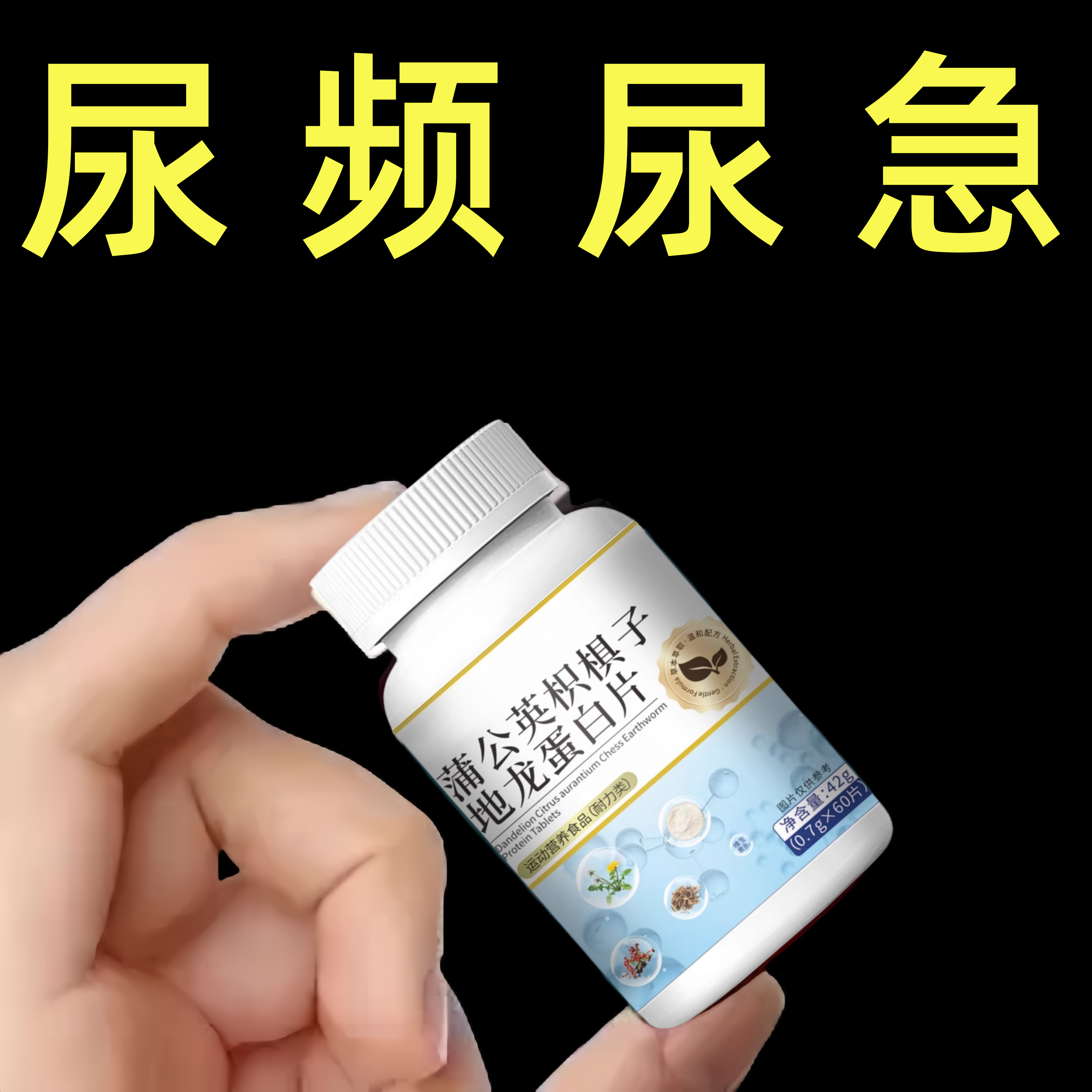 尿频尿急】小便次数多起夜频繁蒲公英枳棋子地龙蛋白片夜尿频繁